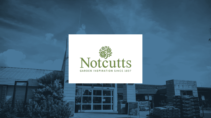 notcutts case study hero image